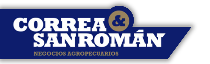 Logo Correa y San Román