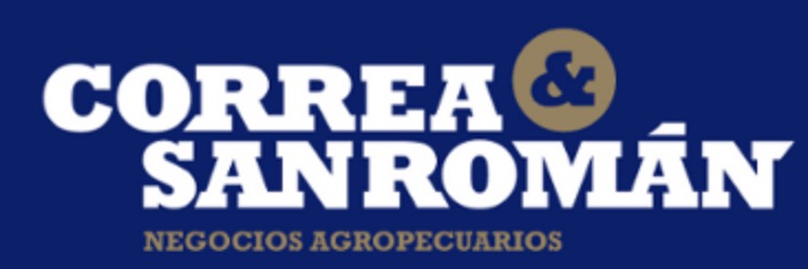 Logo Correa y San Román